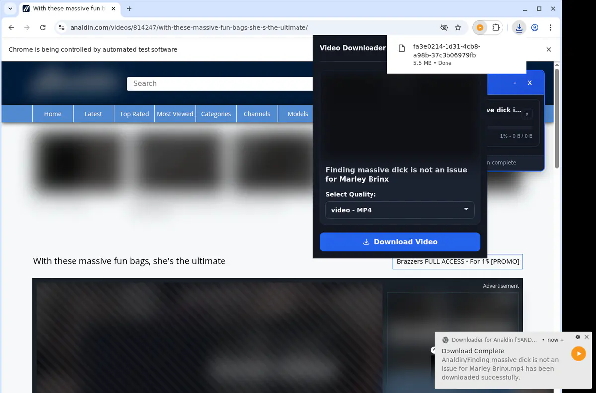 Analdin Video Downloader browser extension screenshot 2