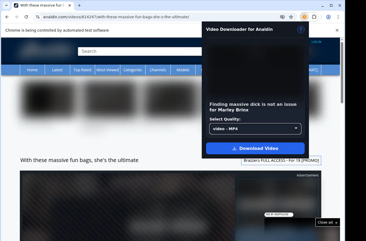 Analdin Video Downloader browser extension screenshot 3