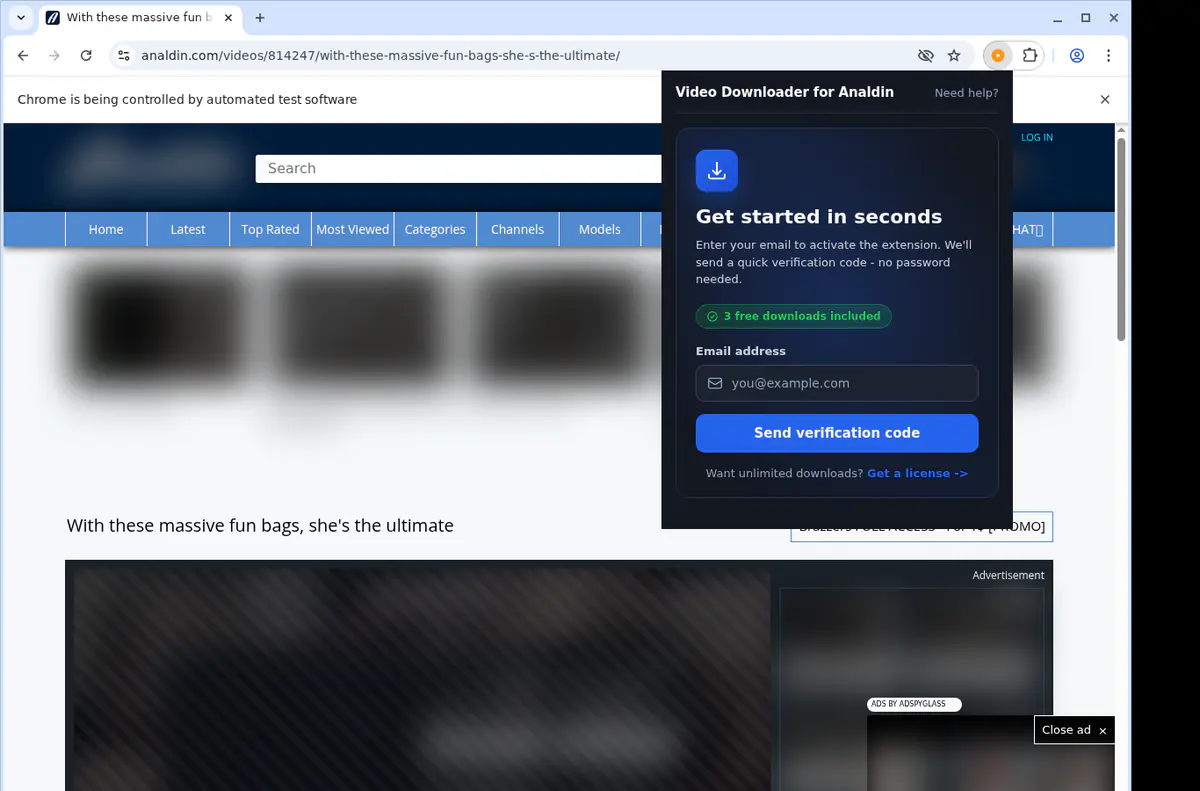 Analdin Video Downloader browser extension screenshot 5